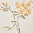 a8401af0ec0f4db1bb6588bc50ea8fce - Darphe