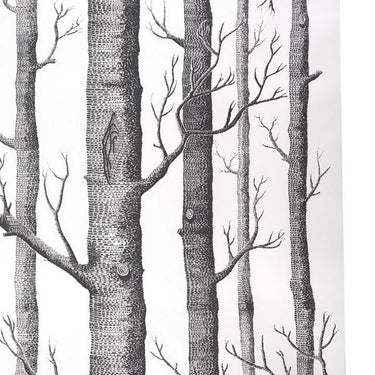 birch-tree-wallpaper-roll-HF0223_2 - Darphe