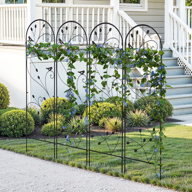 climbing-plants-garden-trellis-ZX0104_1 - Darphe