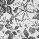 f853141a089c467b9ac796669d51d741 - Darphe