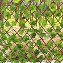 grape-leaves-fence-ZX0119_2 - Darphe