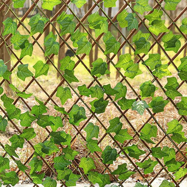 grape-leaves-fence-ZX0119_2 - Darphe