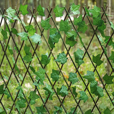 grape-leaves-fence-ZX0119_3 - Darphe