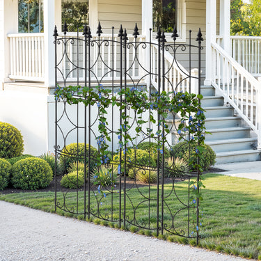 matal-garden-trellis-climbing-plants-ZX0103_1 - Darphe