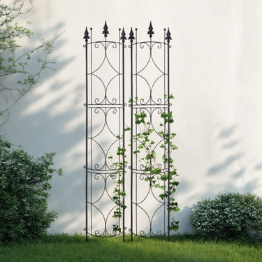 matal-garden-trellis-climbing-plants-ZX0103_2 - Darphe