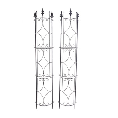 metal-garden-arch-plants-climbing-ZX0103_2 - Darphe