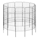 metal-garden-fence-ZX0026_3 - Darphe