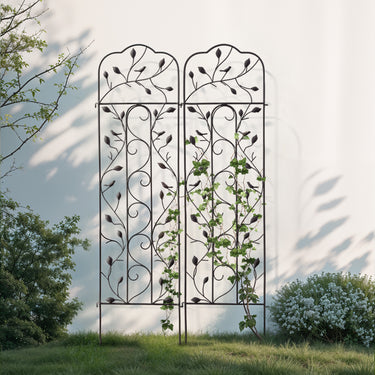 metal-garden-trellis-climbing-plants-ZX0102_2 - Darphe