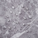 self-adhesive-vinyl-flooring-tiles-LG1458_4 - Darphe